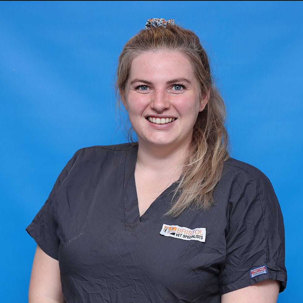 Hannah Badham - Bristol Vet Specialists