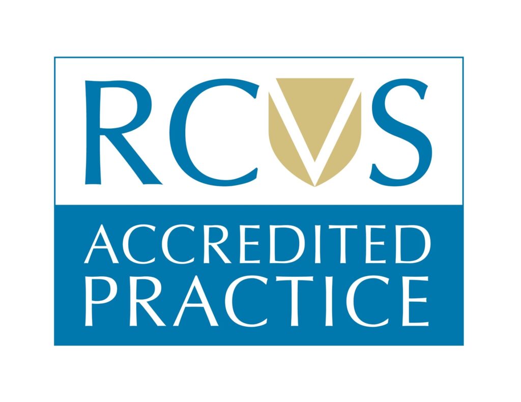 BVS receives accreditation from RCVS