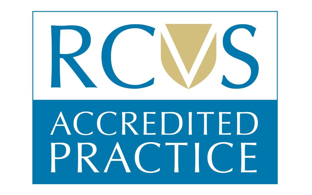 BVS receives accreditation from RCVS